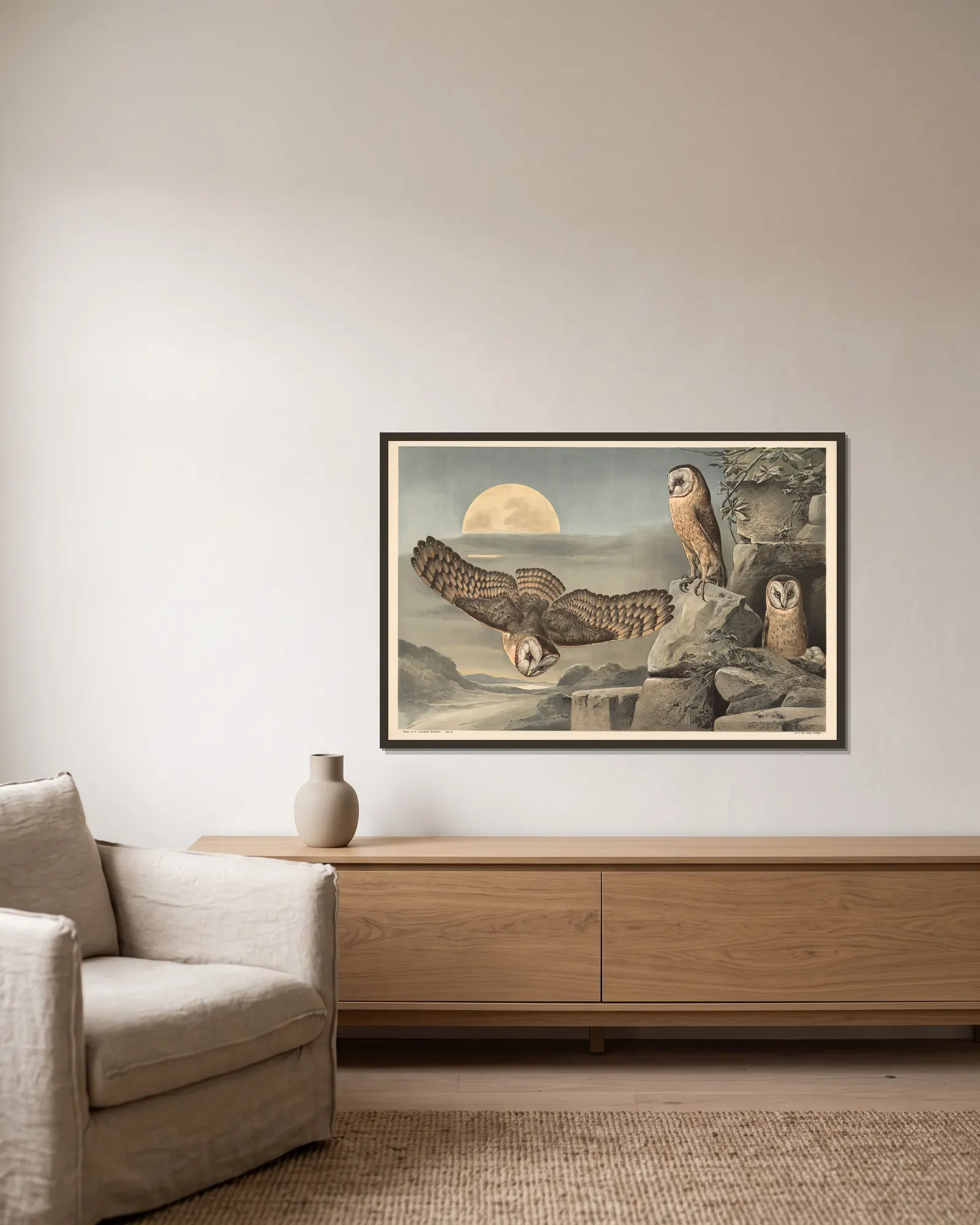 Barn Owl av Alfred Fiedler inramad på en vägg