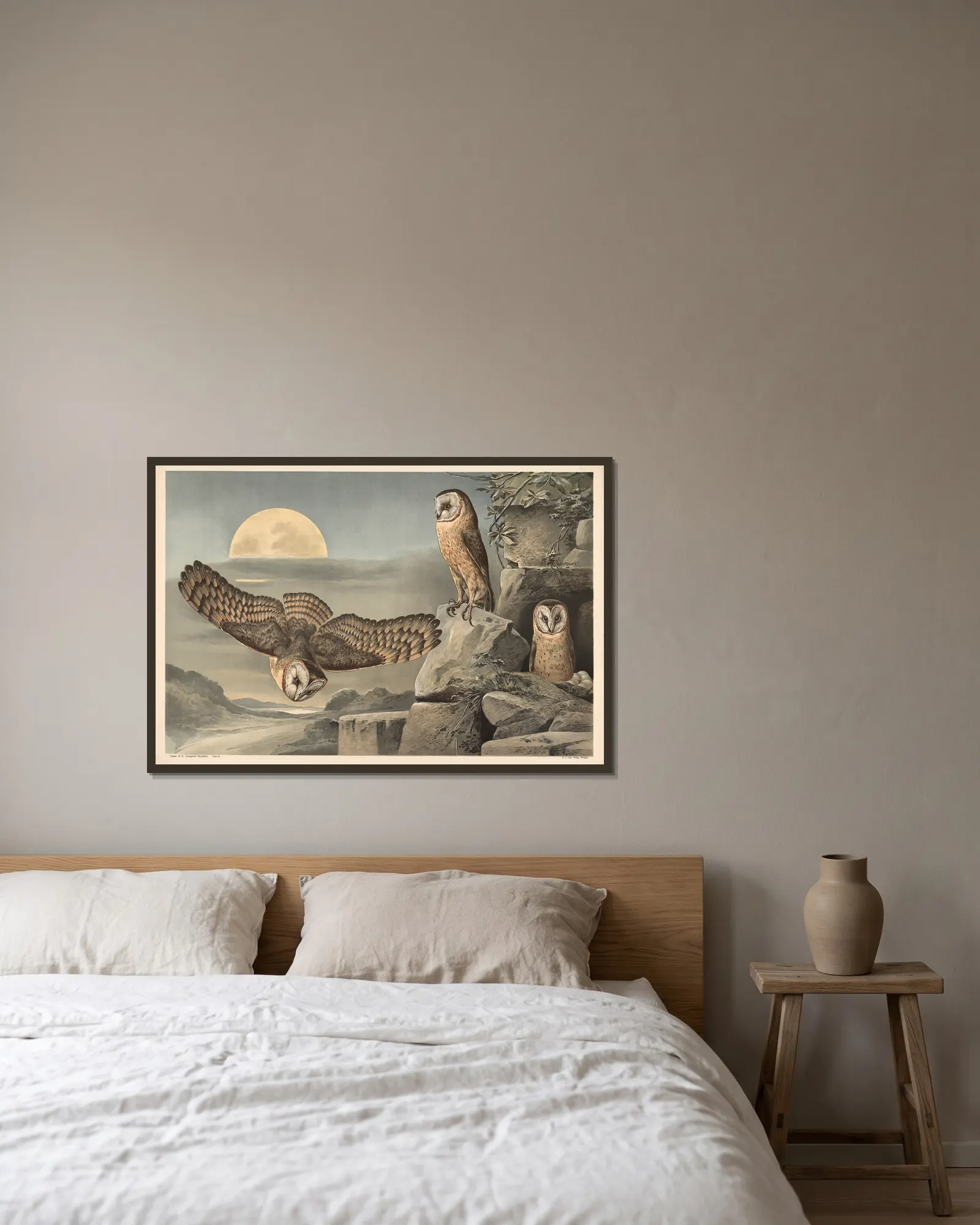 Barn Owl av Alfred Fiedler inramad på en vägg