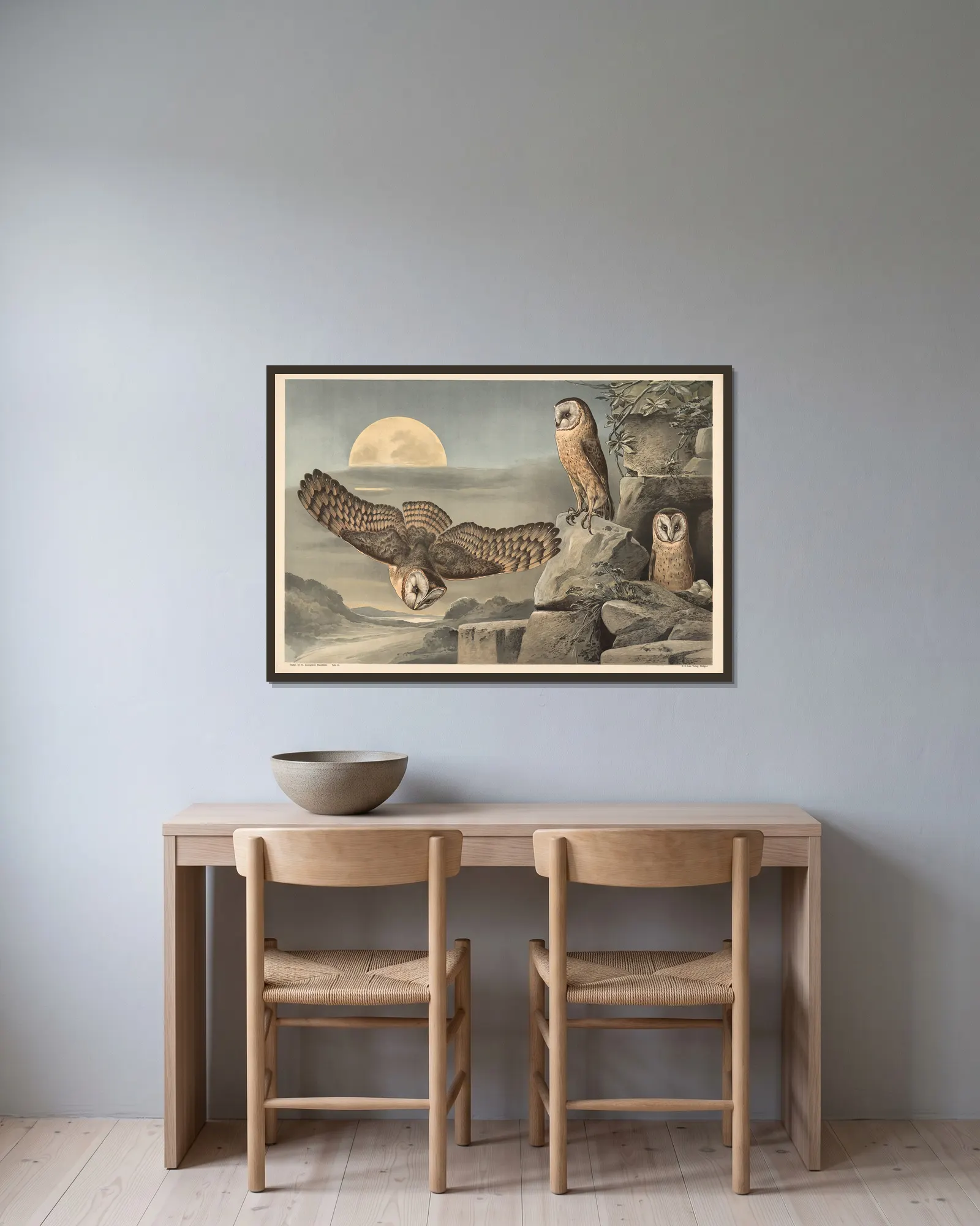 Barn Owl av Alfred Fiedler inramad på en vägg