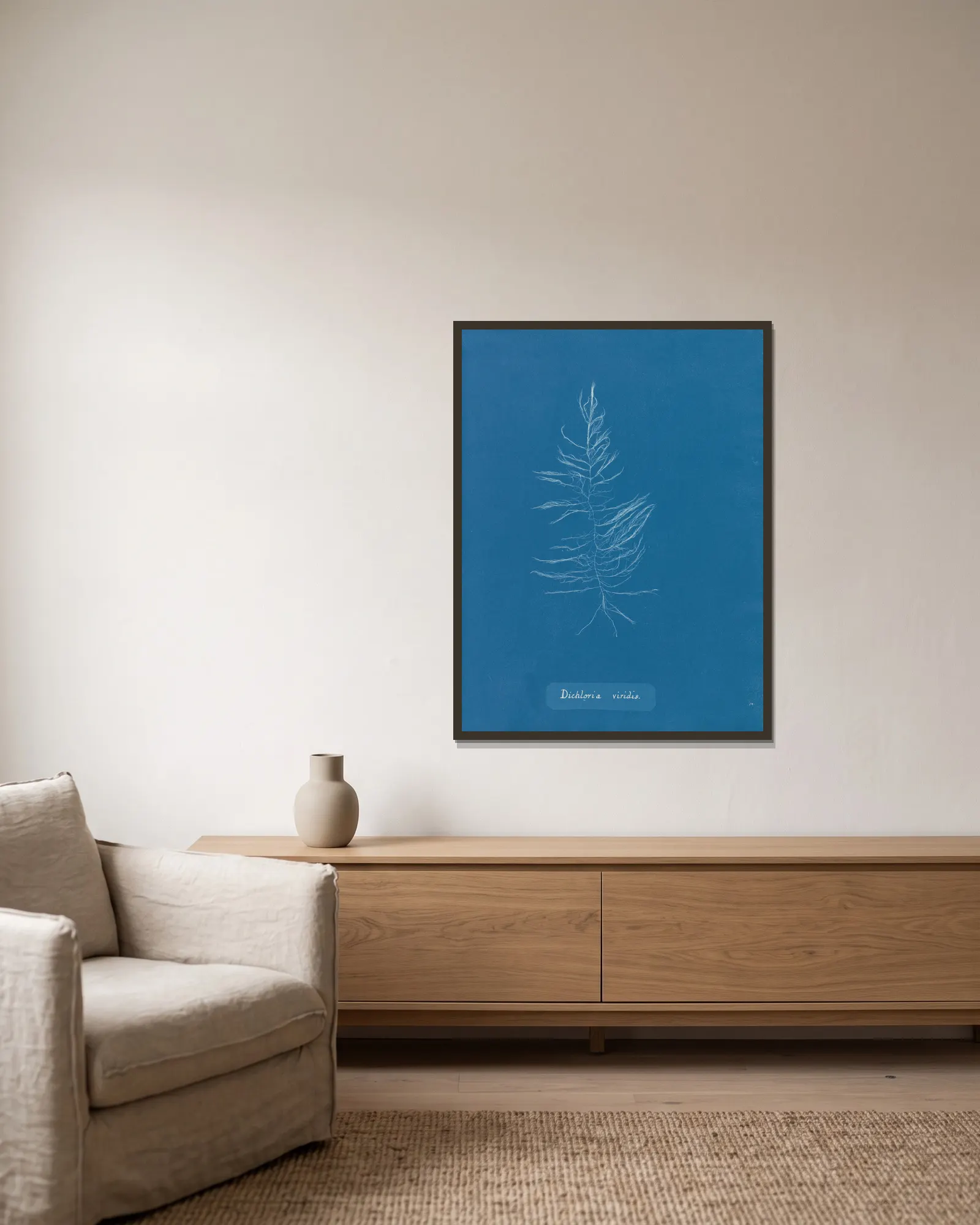 Dichloria viridis av Anna Atkins inramad på en vägg
