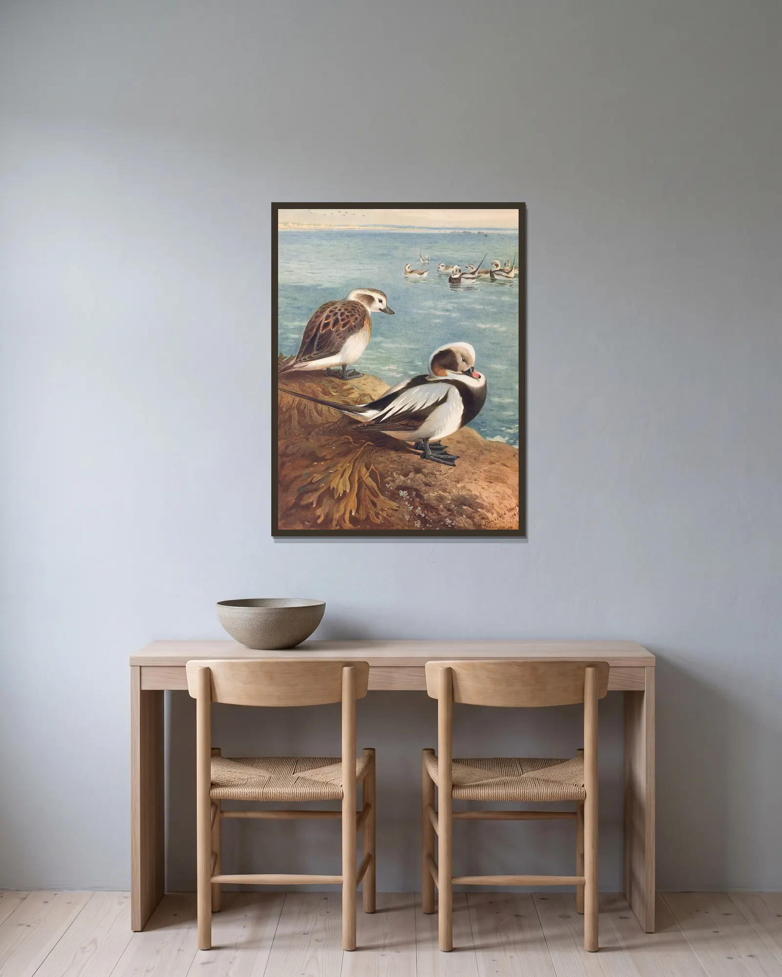 Long-Tailed Duck (Winter) av Archibald Thorburn inramad på en vägg
