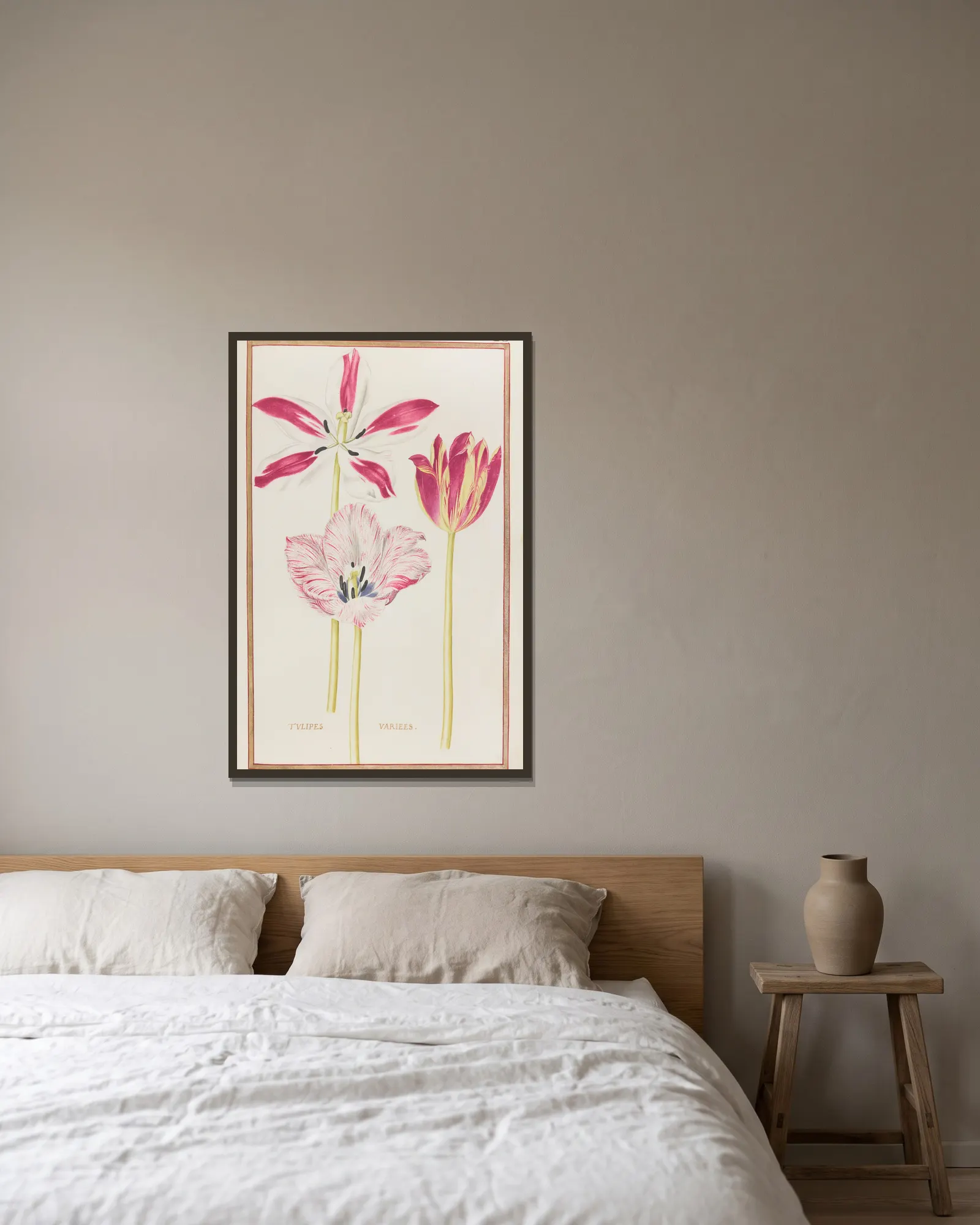 Tulipes variees av Daniel Rabel inramad på en vägg