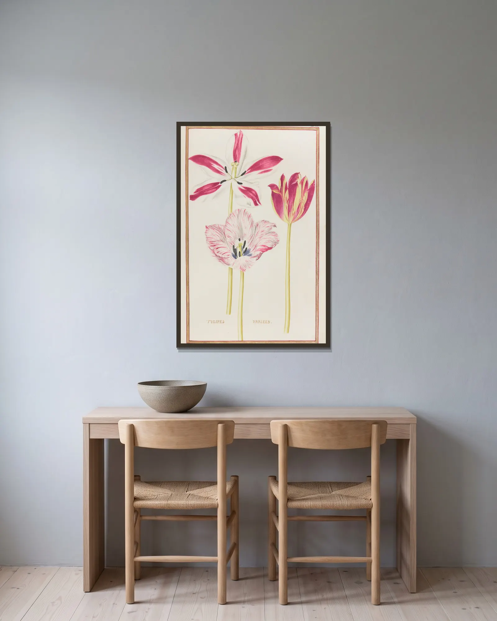 Tulipes variees av Daniel Rabel inramad på en vägg
