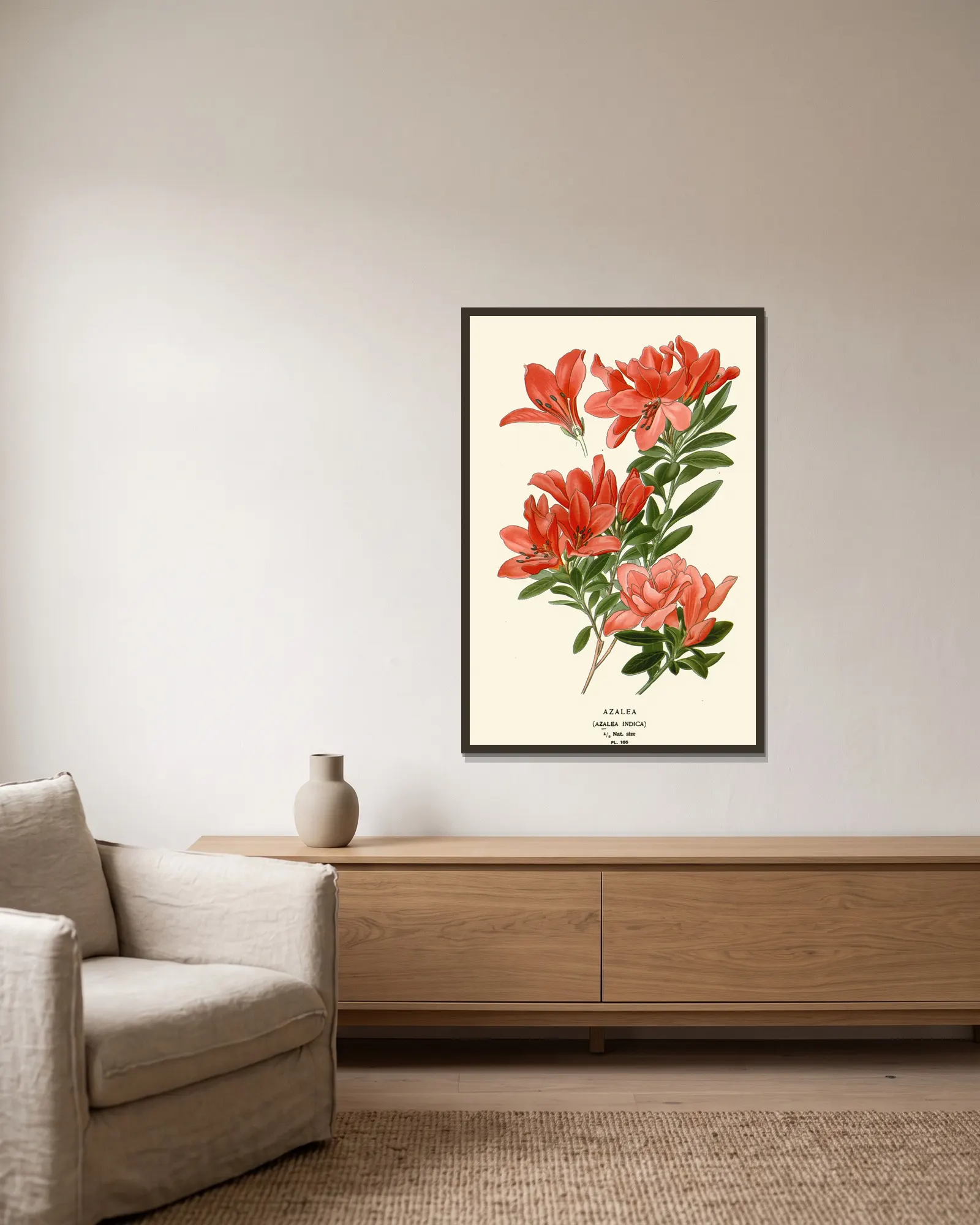 Azalea av Edward Step inramad på en vägg