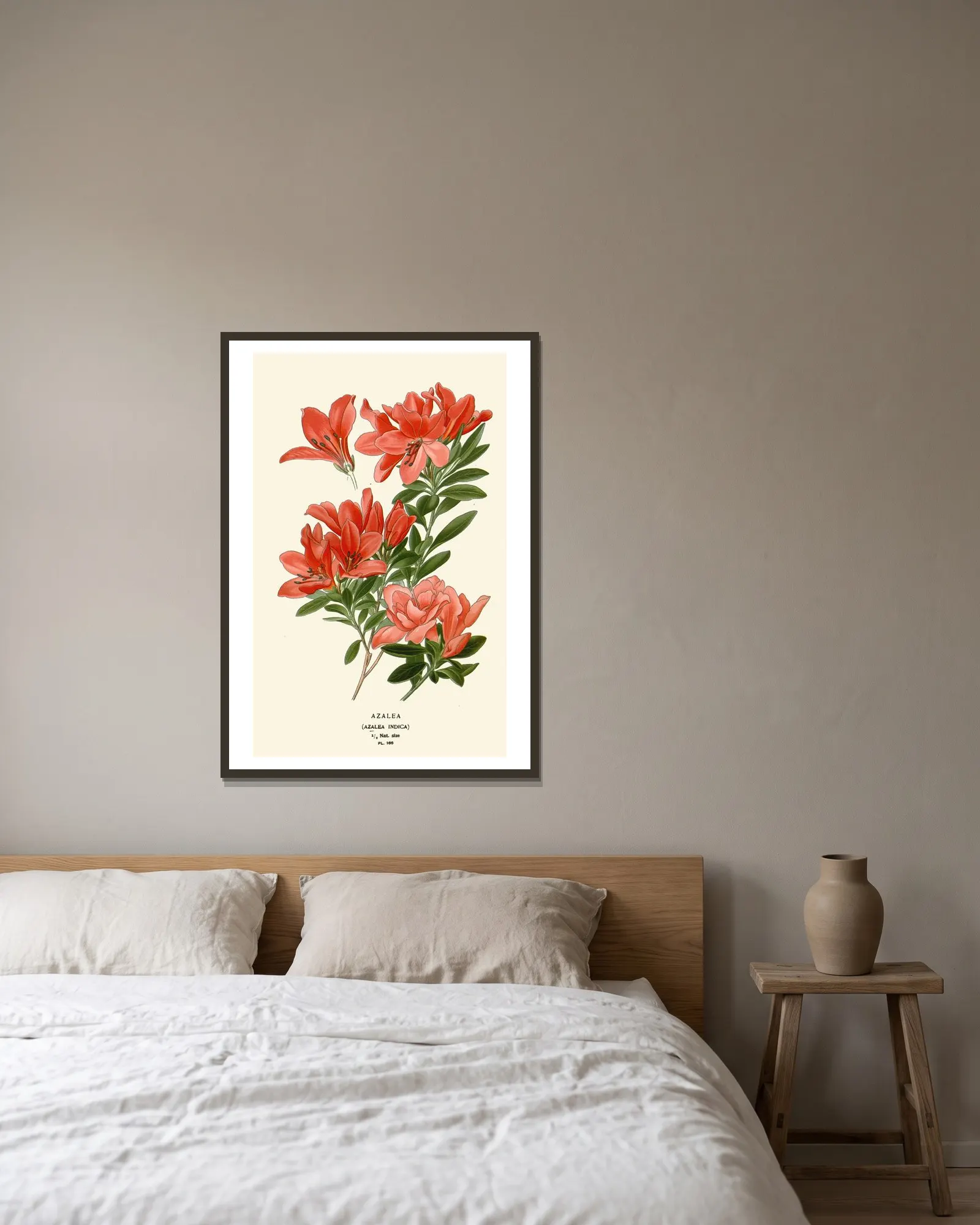 Azalea av Edward Step inramad på en vägg