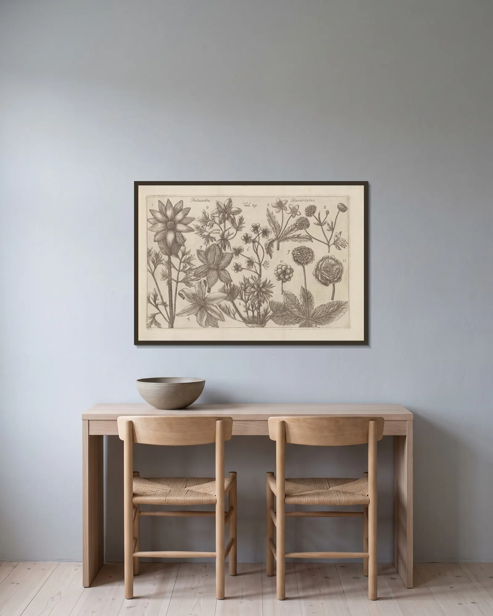 Pulsatilla, Ranunculus av Filippo Arena inramad på en vägg