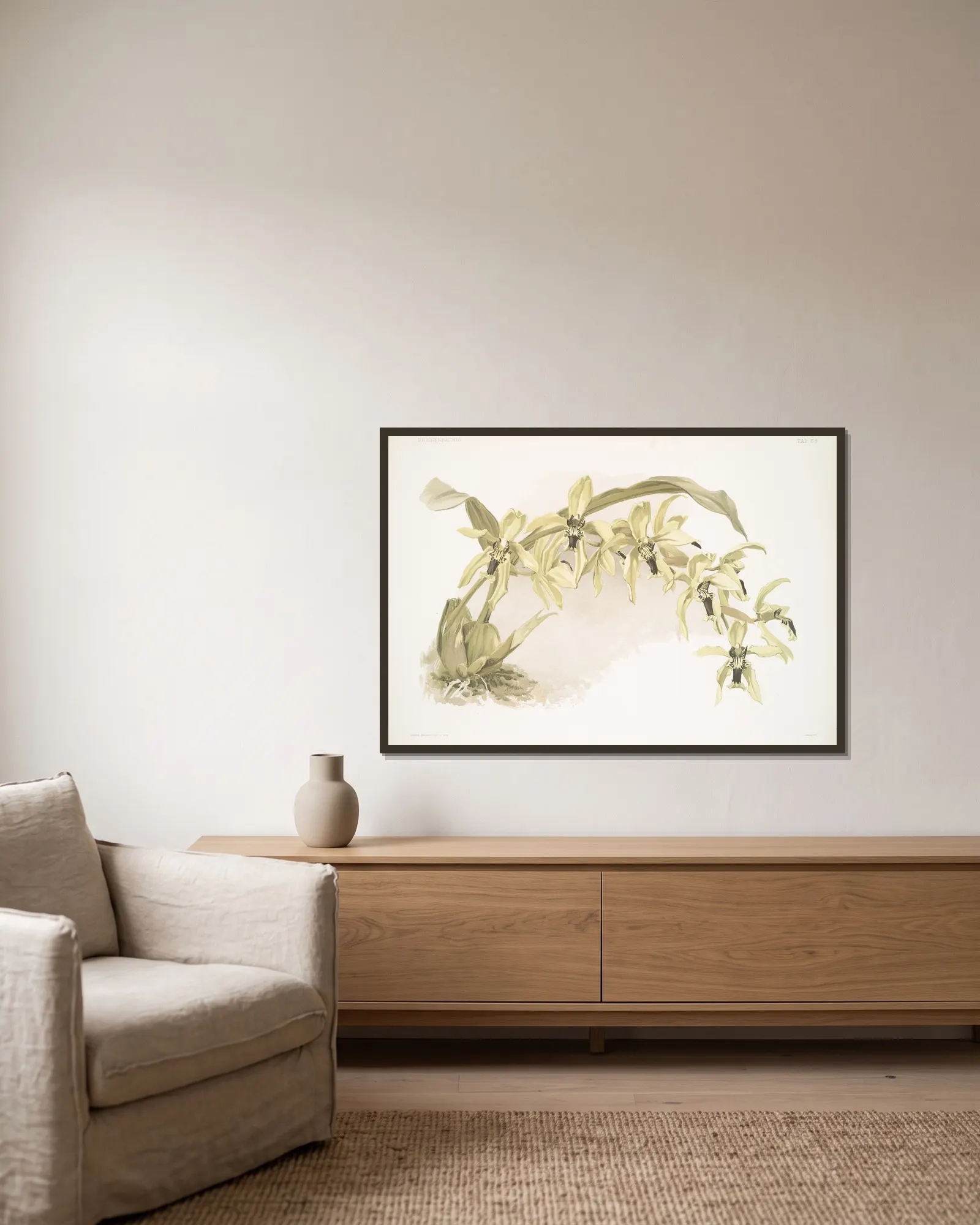 Coelogyne pandurata. av Frederick Sander inramad på en vägg