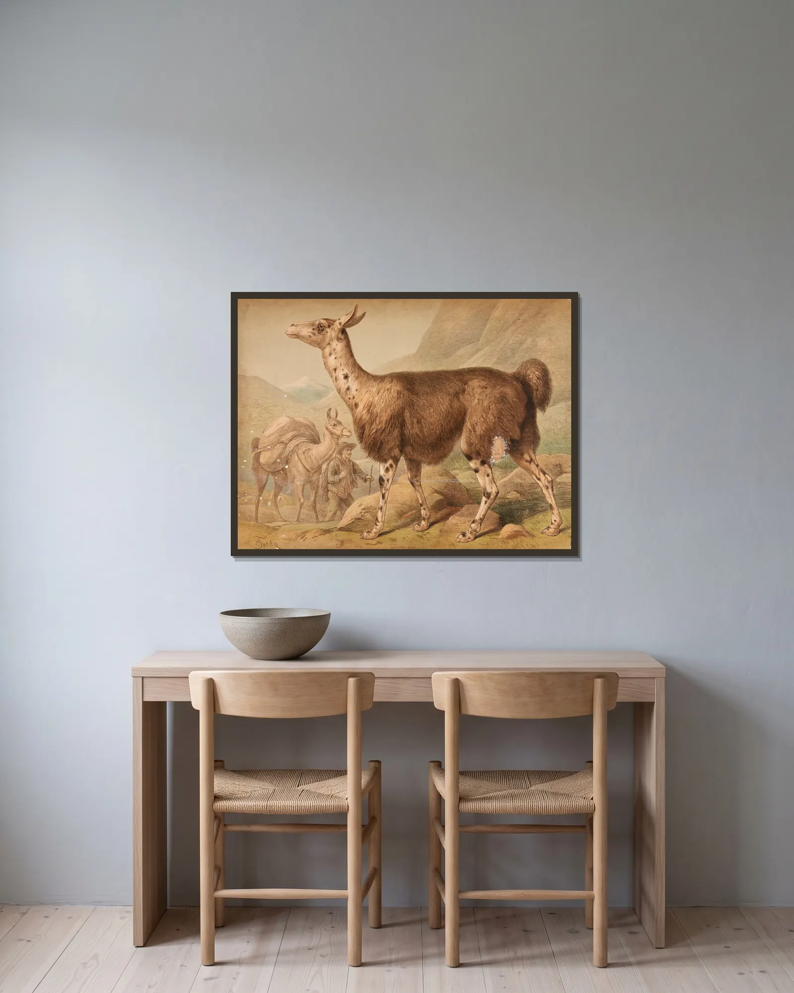 Llama (Auchenia Lama) av Friedrich Specht inramad på en vägg