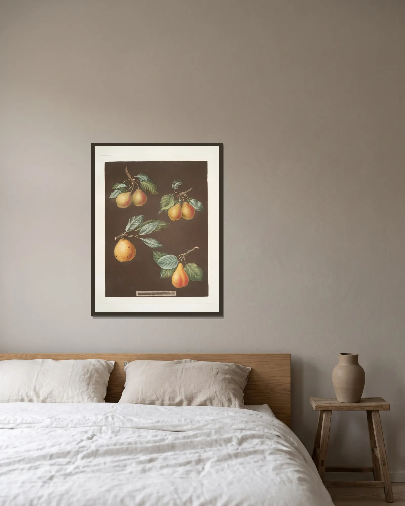 Apples (Pomme d’Apt, Courpendu Blanche, Royal Nonsuch, Margill and the Summer Nonsuch varities). av George Brookshaw inramad på en vägg