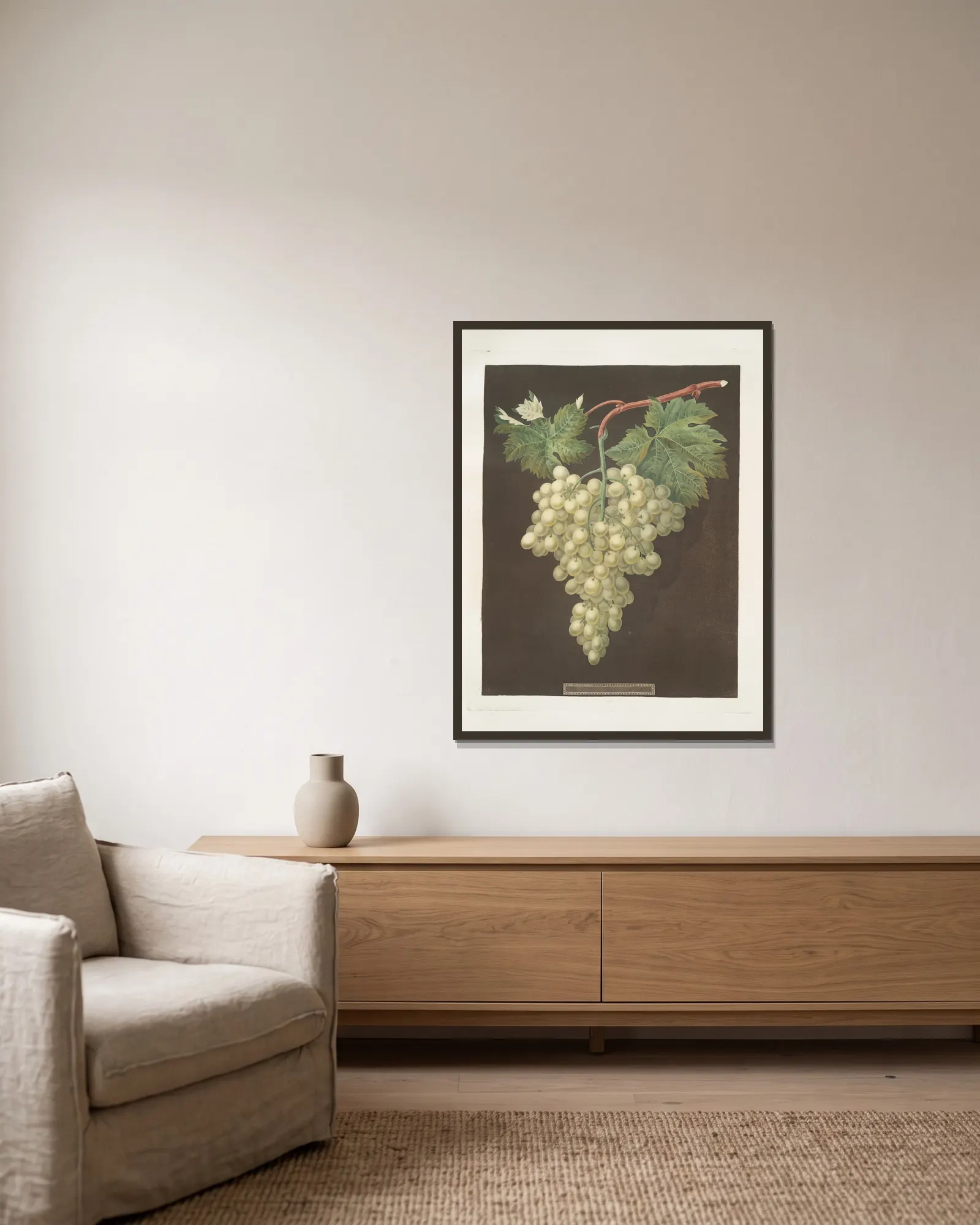 Black Hamburgh grape. av George Brookshaw inramad på en vägg