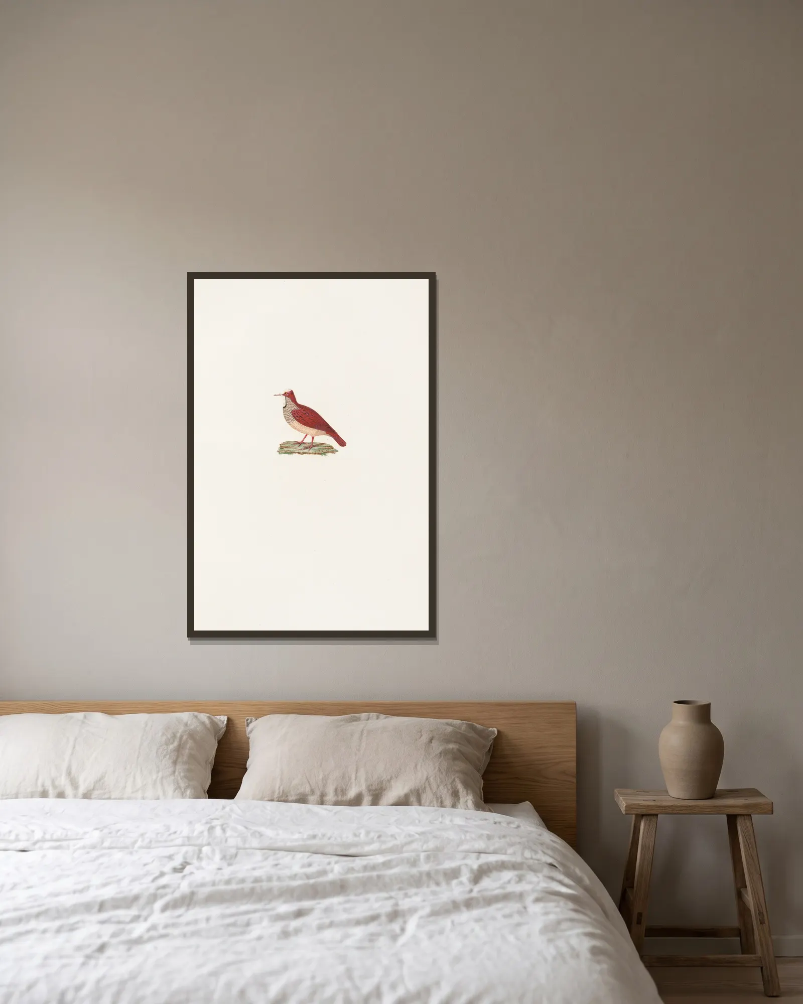 Les pigeons Pl.86 av Coenraad Jacob Temminck inramad på en vägg