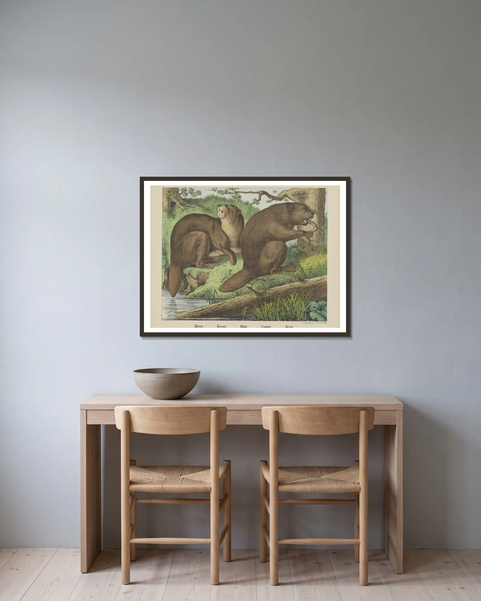 Beaver av Joseph Scholz inramad på en vägg