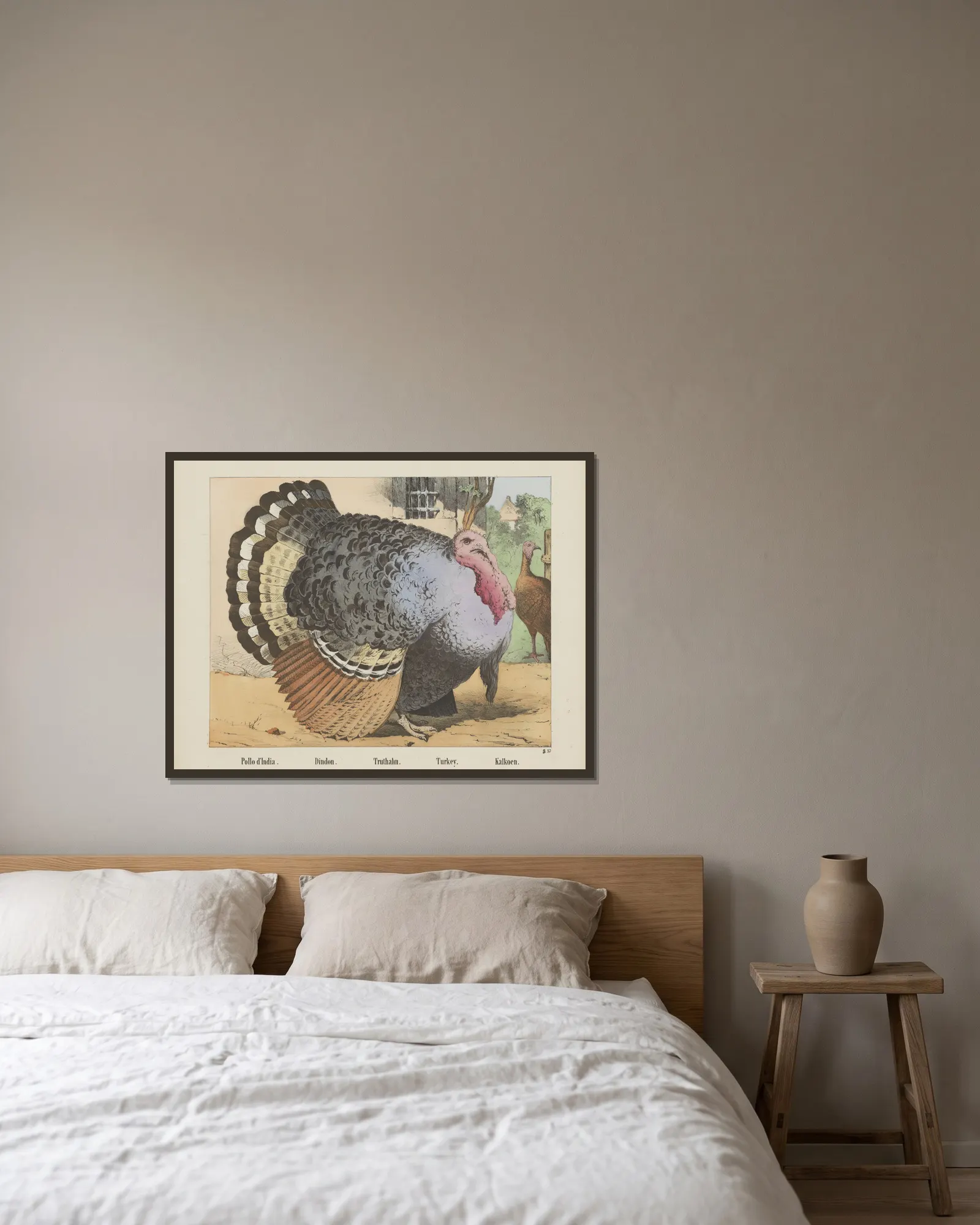 Turkey. av Joseph Scholz inramad på en vägg