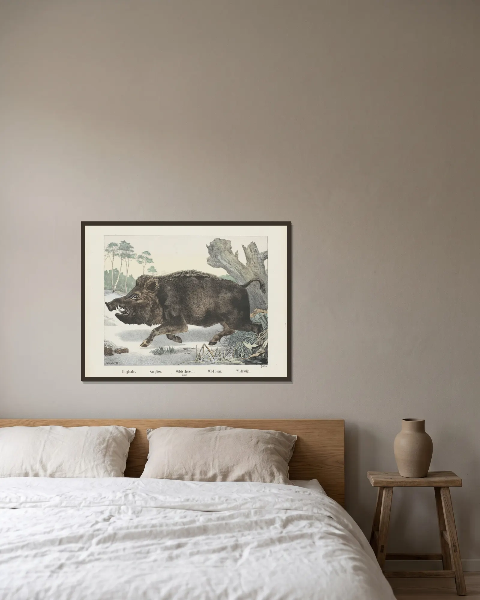 Wild boar av Joseph Scholz inramad på en vägg