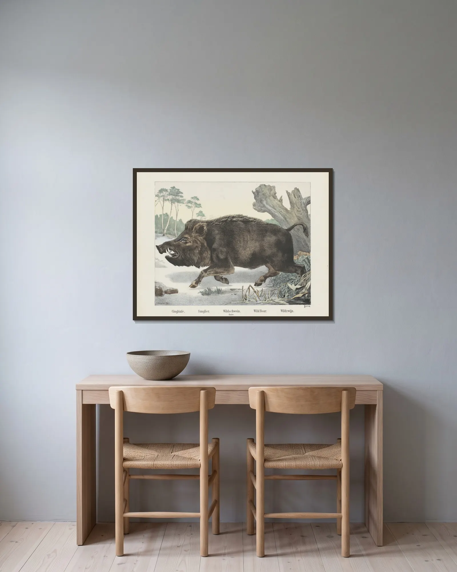 Wild boar av Joseph Scholz inramad på en vägg