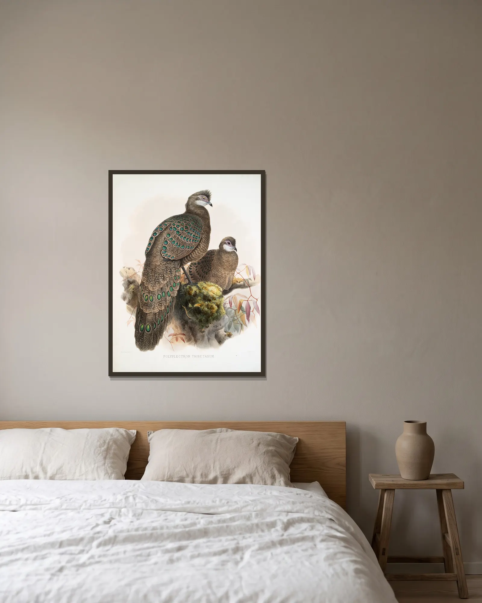 Polyplectron thibetanum. av Joseph Smit inramad på en vägg