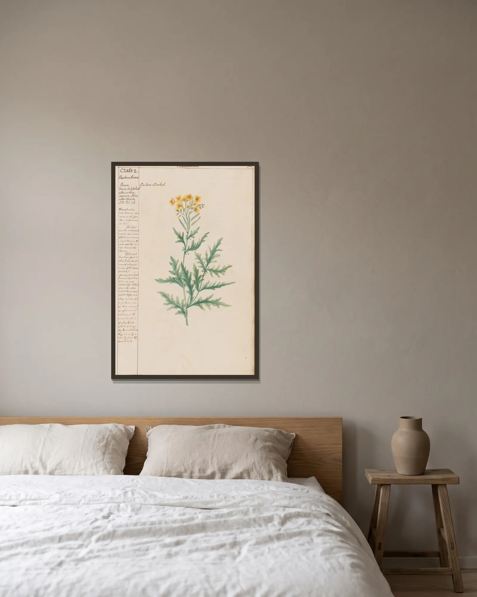 Garden Rocket av Joshua Webster inramad på en vägg