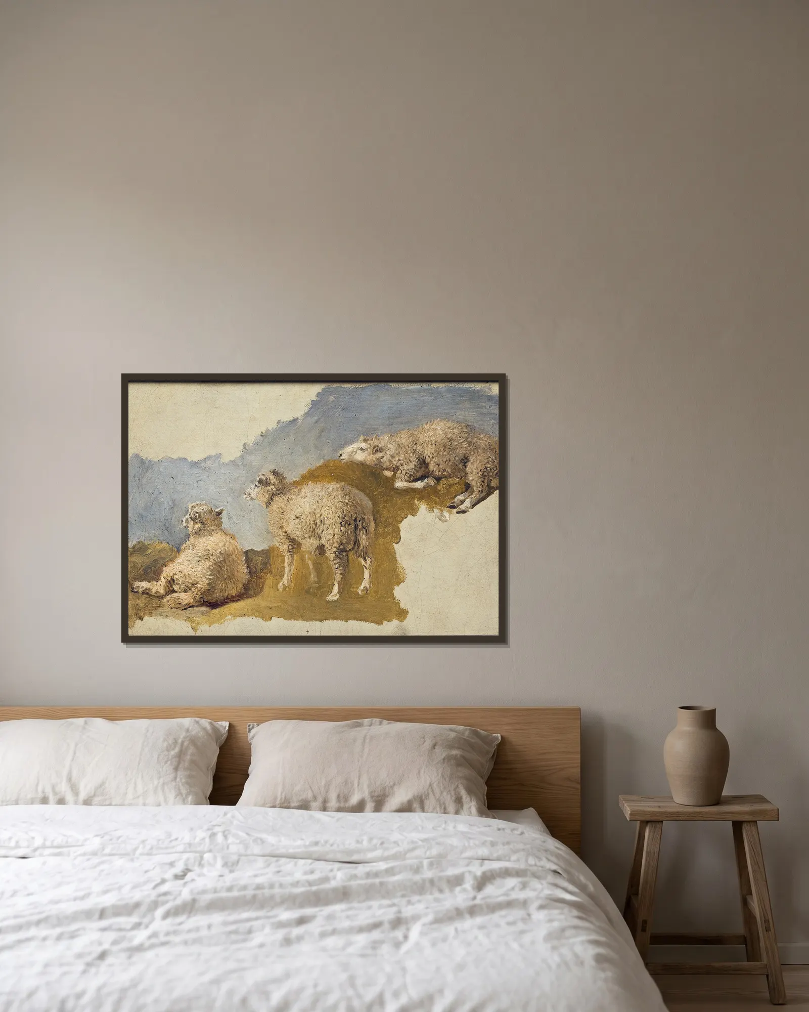 Three Sheep. Study av Kilian Zoll inramad på en vägg
