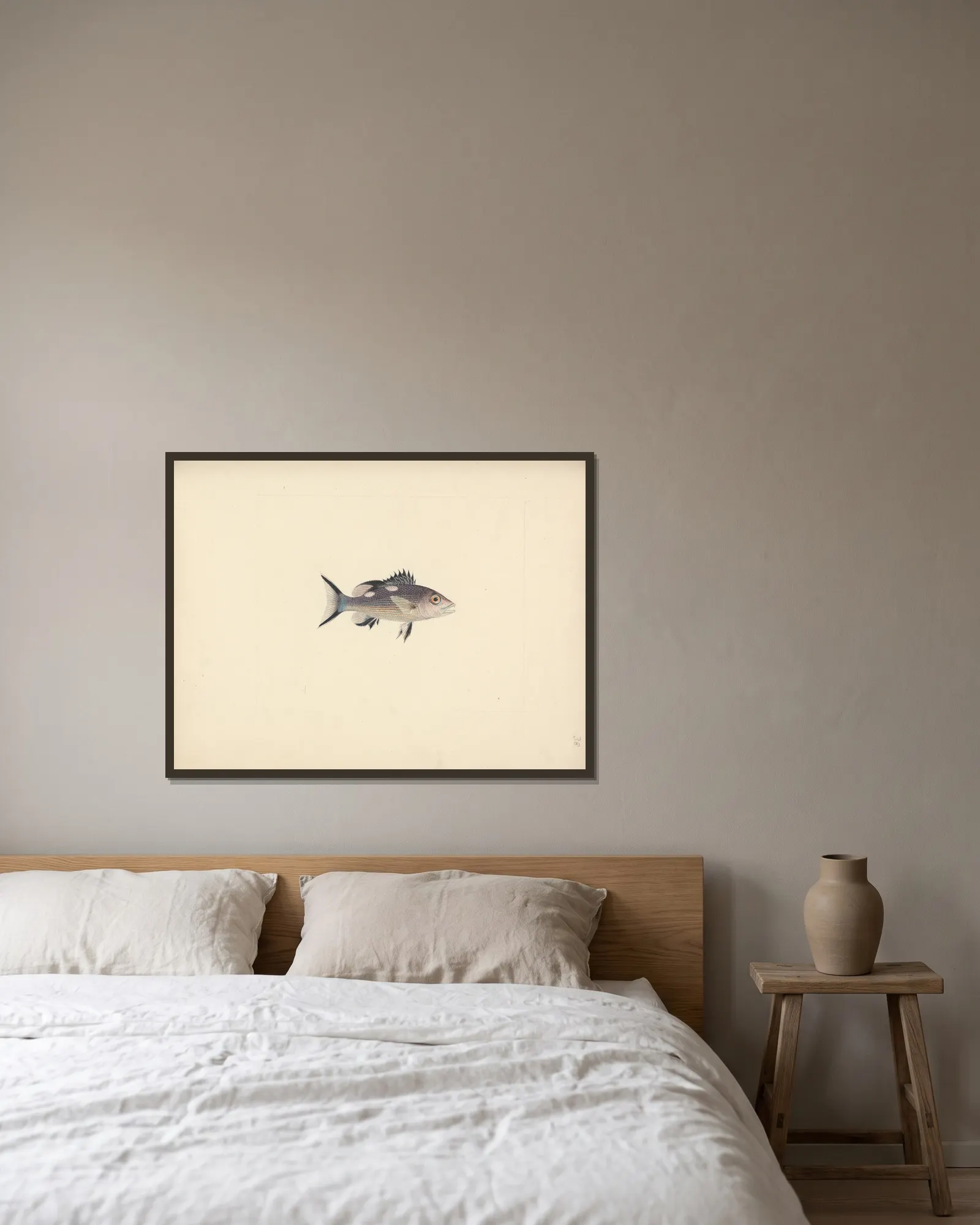Unidentified Fish av Luigi Balugani inramad på en vägg