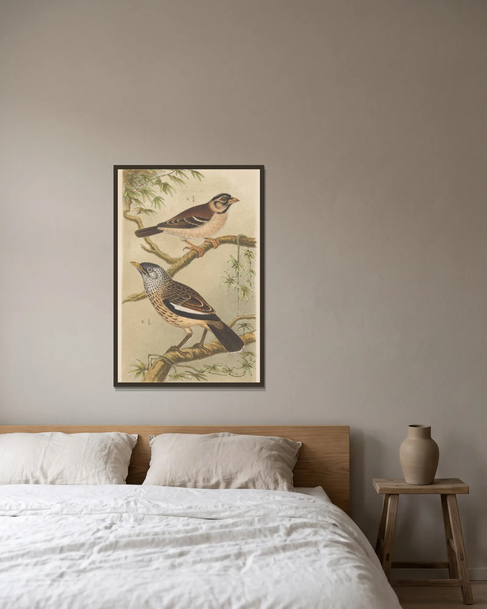 Two Birds On Branches av Theo van Hoytema inramad på en vägg