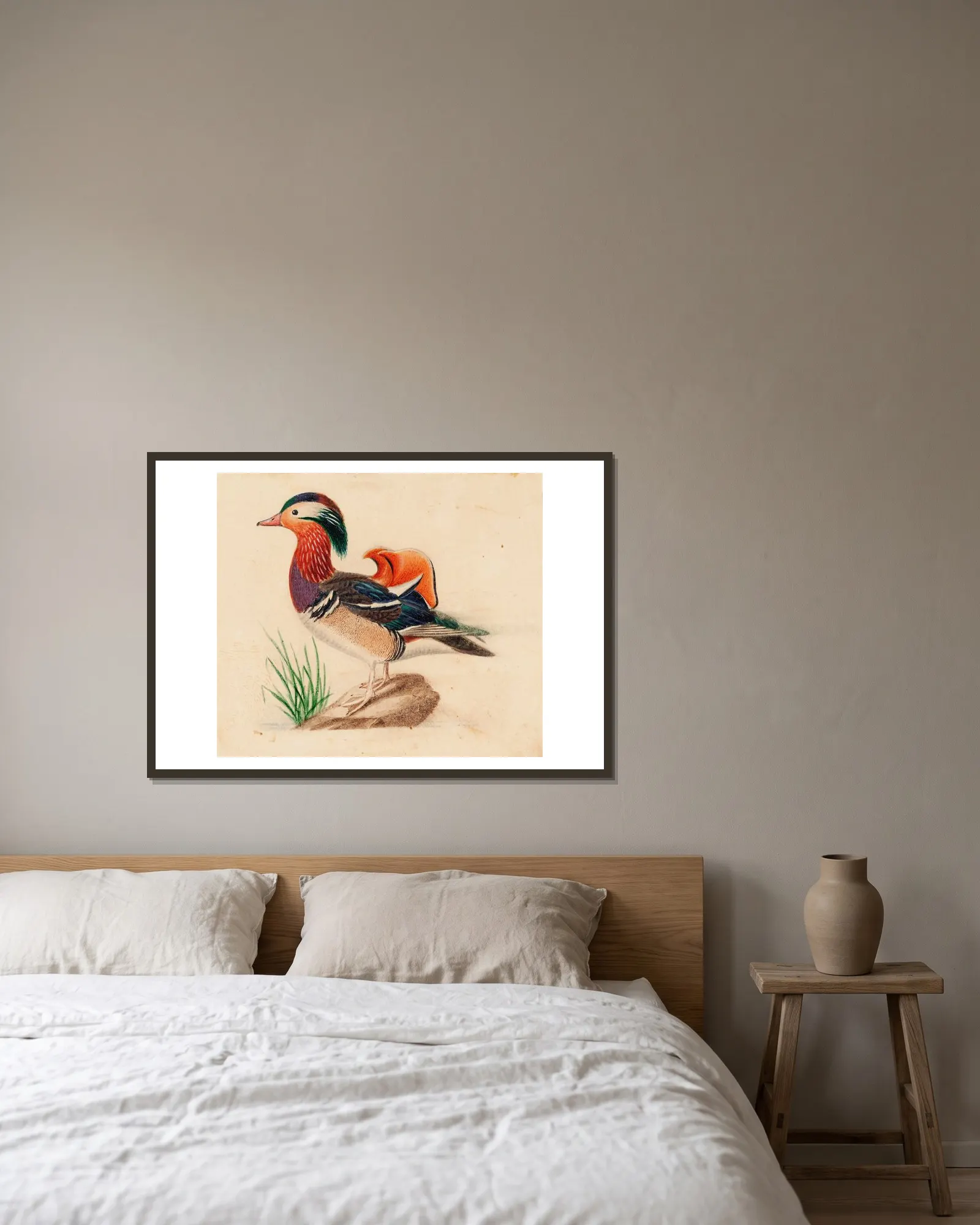 Mandarin Duck, Male av Ferdinand von Wright inramad på en vägg