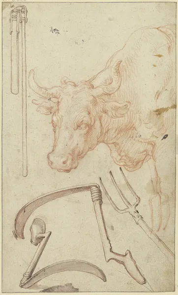 Studienblatt; Landwirtschaftliche Geräte und ein Stierkopf av Abraham Bloemaert
