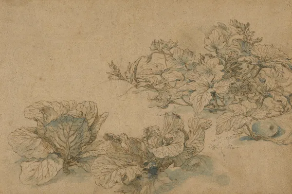 Studies of a Marrow Plant and Cabbages av Abraham Bloemaert