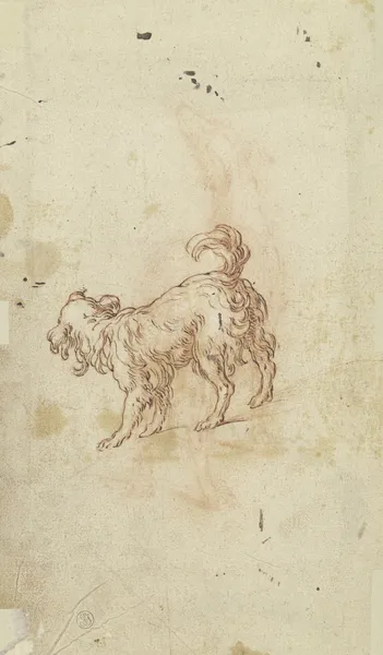 Study sheet; two dogs av Abraham Bloemaert