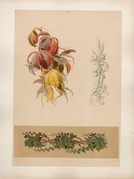 Studien zur Aquarell-Malerei Pl.09 av Adolf Schrödter