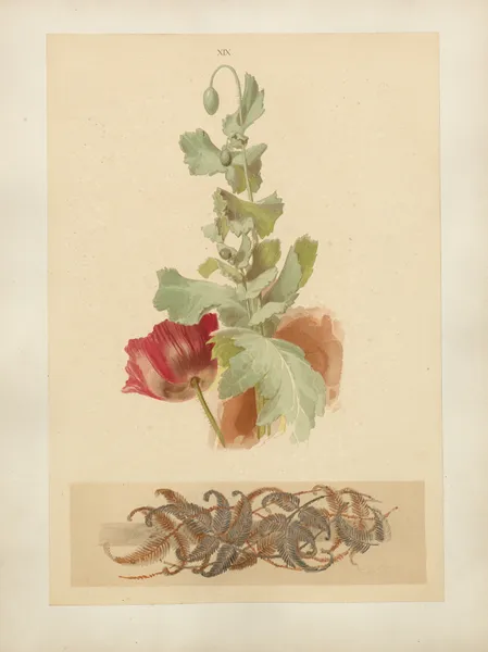 Studien zur Aquarell-Malerei Pl.18 av Adolf Schrödter