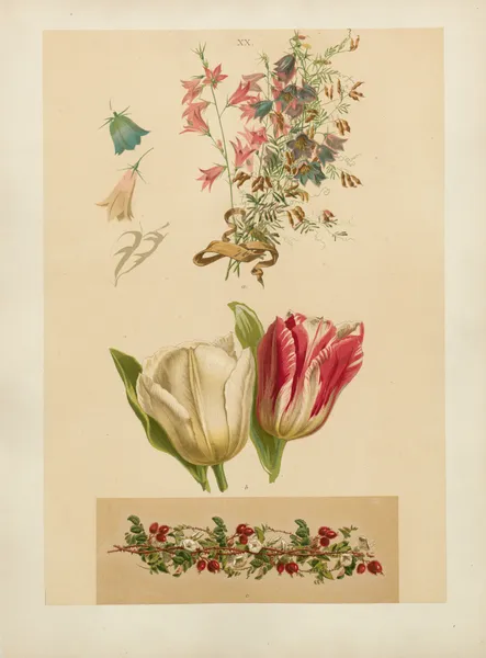 Studien zur Aquarell-Malerei Pl.19 av Adolf Schrödter