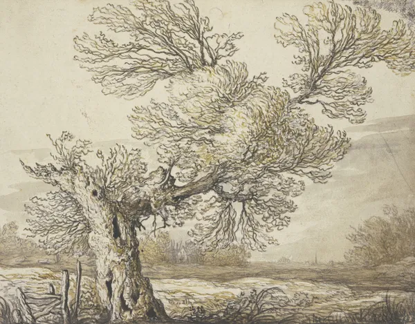Landscape near Dordrecht av Aelbert Cuyp