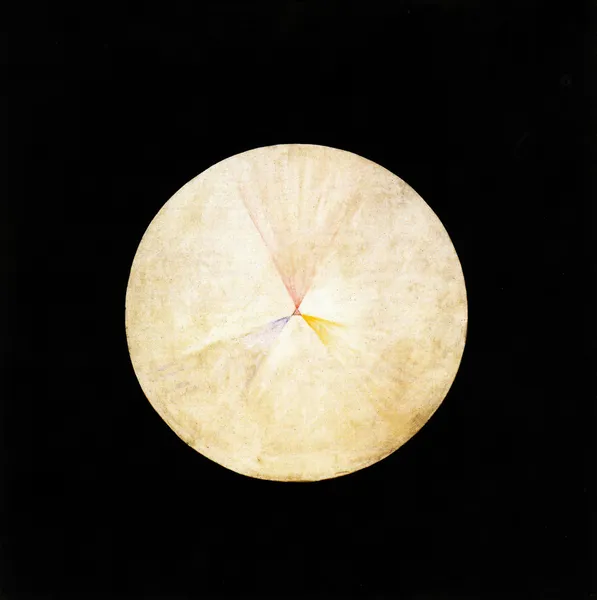 Series SUW, No 14 Swan av Hilma af Klint
