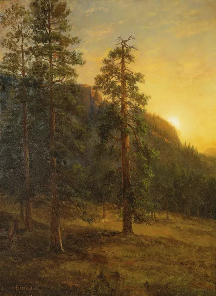 California Redwoods av Albert Bierstadt