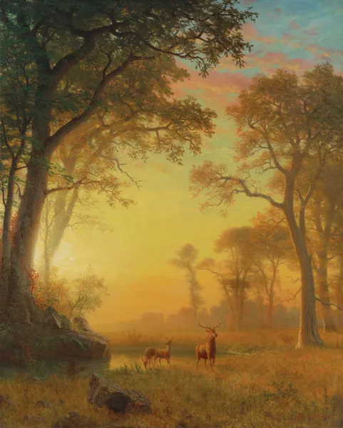 Light In The Forest av Albert Bierstadt
