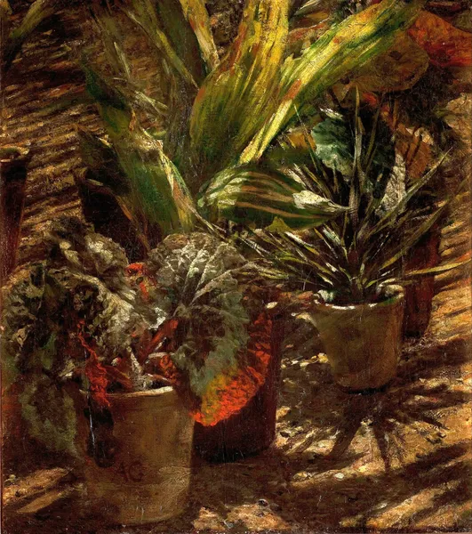 Begonias av Aleksander Gierymski