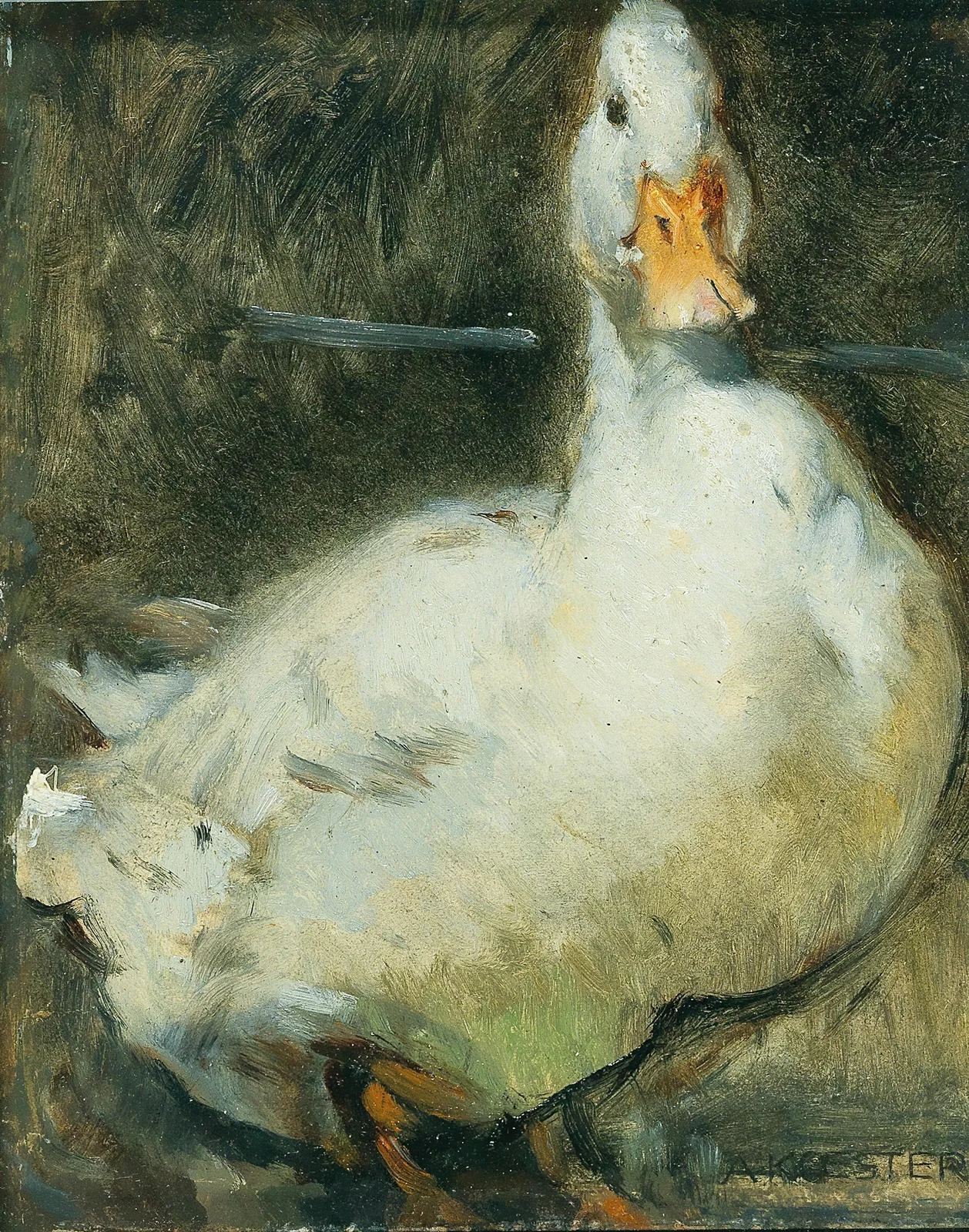 Duck av Alexander Koester