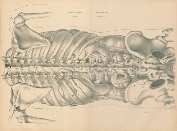 Physical Diagnosis and Clinical Anatomy av Jean Allard Jeancon
