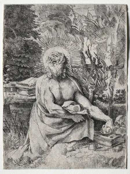 St. Jerome av Annibale Carracci