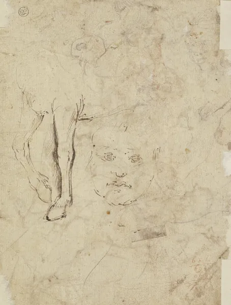 Studienblatt; Die Vorderläufe eines Pferdes sowie ein Kinderkopf en face av Annibale Carracci