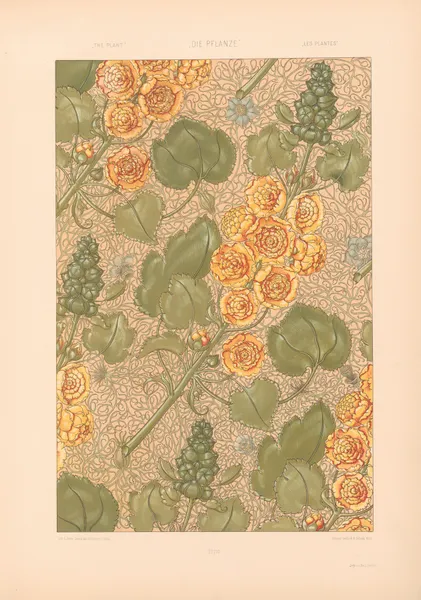 Die Pflanze in Kunst und Gewerbe (The Plant in Art and Industry) Pl.092 av Anton Seder