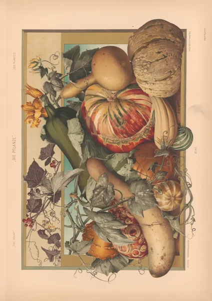 Die Pflanze in Kunst und Gewerbe (The Plant in Art and Industry) Pl.124 av Anton Seder