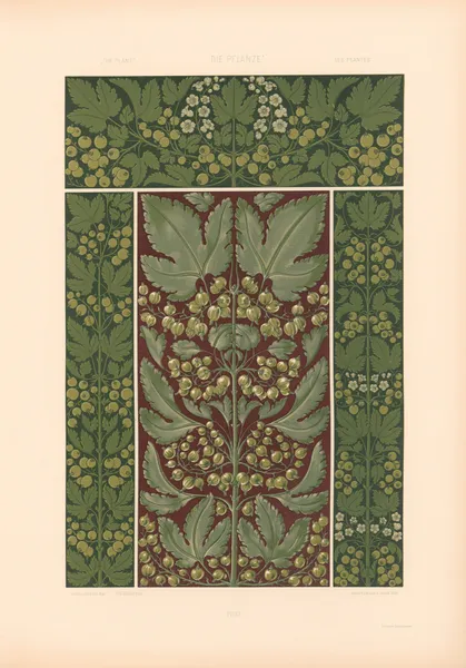 Die Pflanze in Kunst und Gewerbe (The Plant in Art and Industry) Pl.134 av Anton Seder