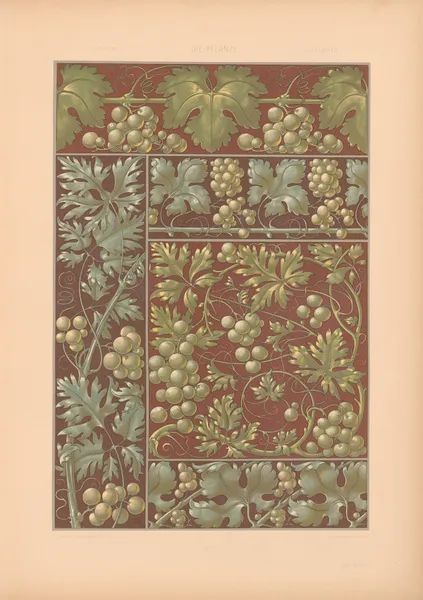 Die Pflanze in Kunst und Gewerbe (The Plant in Art and Industry) Pl.146 av Anton Seder