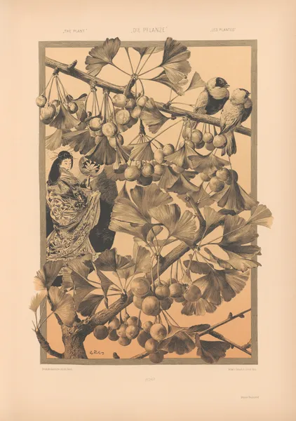 Die Pflanze in Kunst und Gewerbe (The Plant in Art and Industry) Pl.169 av Anton Seder