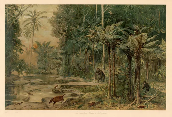 Equatorial rainforest in West Africa av August Specht
