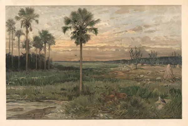 From Llanos av August Specht
