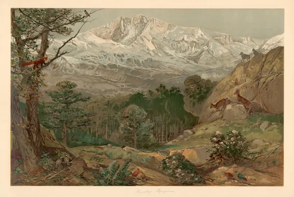 Himalayan Mountains av August Specht