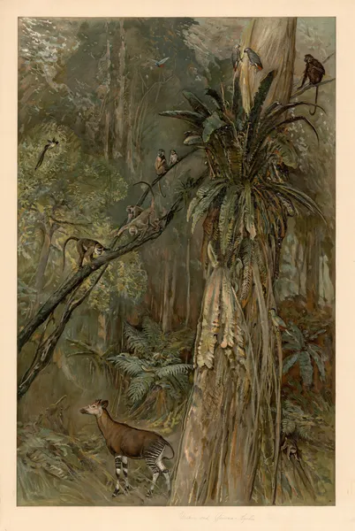 Primeval forest on the Guinea coast av August Specht