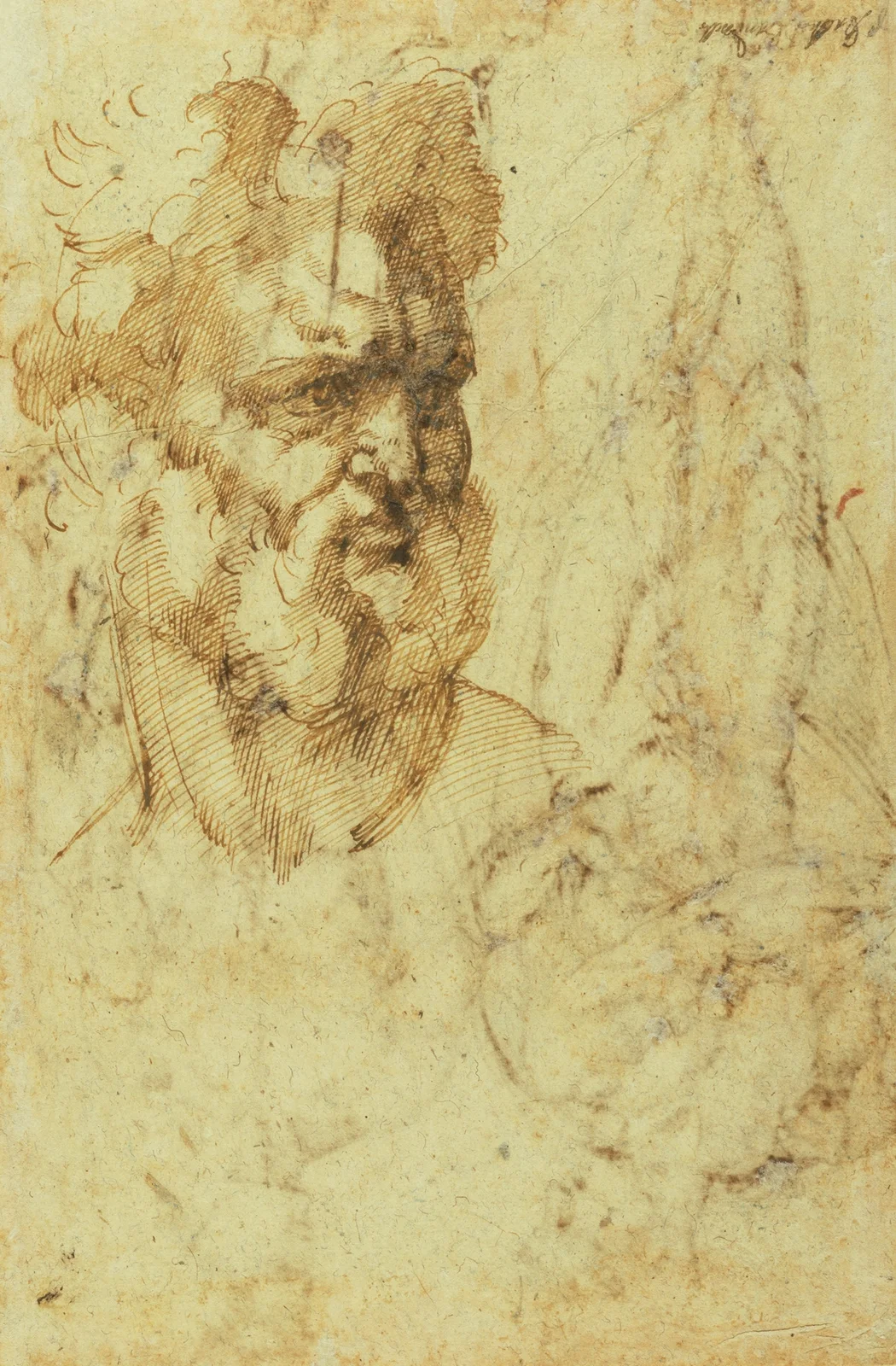 Study of the Head of a Bearded Man av Baccio Bandinelli